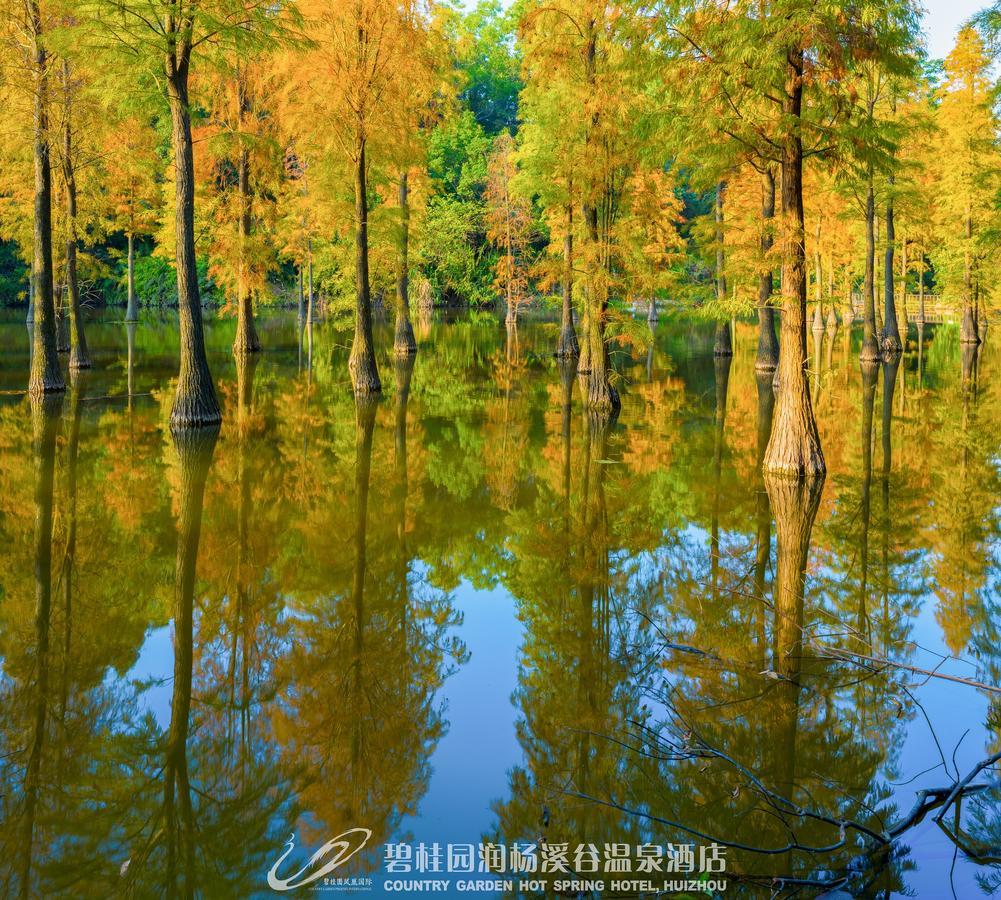 Country Garden Hot Spring Hotel Huizhou Huizhou  Εξωτερικό φωτογραφία